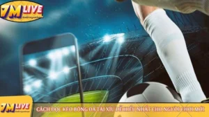 cách đọc kèo bóng đá tài xỉu