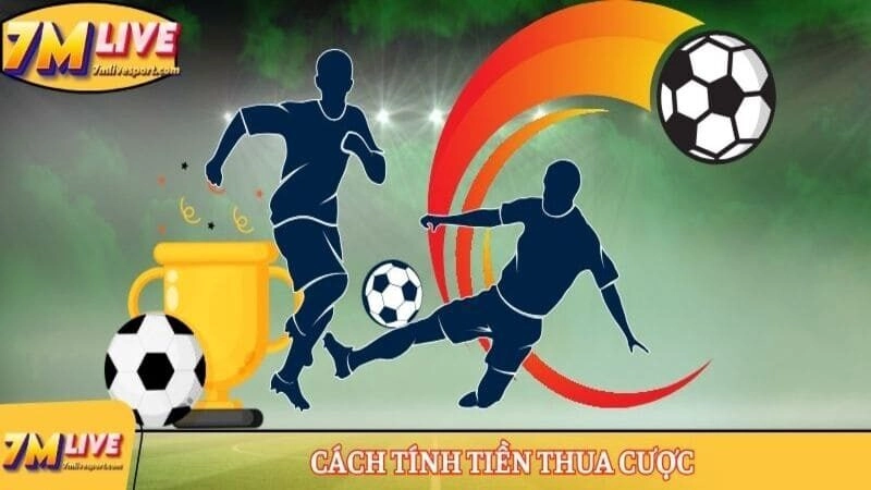 Cách tính tiền thua cược