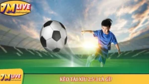 kèo tài xỉu 2.5-3 là gì