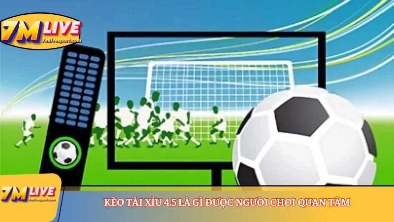Kèo Tài Xỉu 4.5 là gì được người chơi quan tâm