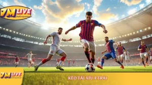 kèo tài xỉu 4 trái